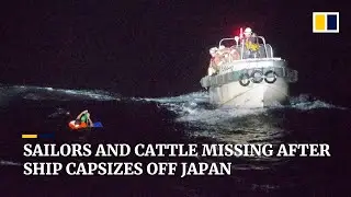 Dozens of sailors, about 6,000 cattle missing after cargo ship capsizes near Japan during typhoon