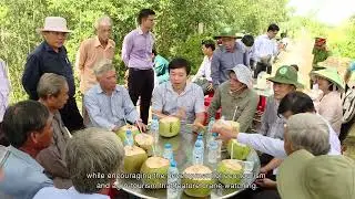 Đồng Th&aacute;p: H&agrave;nh tr&igrave;nh Đưa đ&agrave;n Sếu trở về