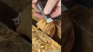 Tobacco Pipe 6 How To: Handtool part. Enjoyable but a bit slow...  #woodworking #shorts