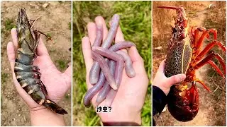 1 đồng mua được gì ? #31 • Ẩm Thực Trung Quốc • Tik Tok China | Moo Food