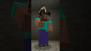 I... AM STEVE!