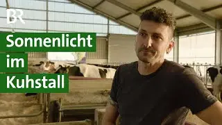 Milch mit Vitamin D3: Mehr Licht im Stall f&uuml;r gesunde Kuhmilch | Unser Land | BR