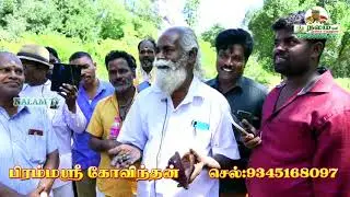 வயாகராவை விட அதிக சக்தி வாய்ந்த தாதுவிருத்தி உண்டாக்கக்கூடிய குதிரை விதை காய் மூலிகை மருத்துவம்