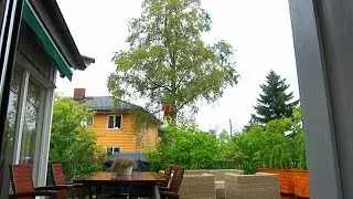 How to cut down a tree in close quarters (fast forward)