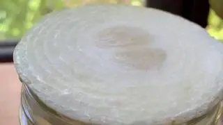 Cellph Mastery - Holistic Cooking Experience
