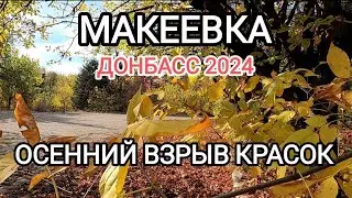Макеевка.Осенний взрыв красок.Донбасс в огненной листве...Как это было