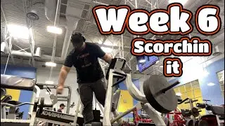 THE CUT💪 - Week 6 (Training/Diet Series)