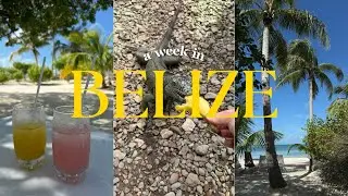 A Week in Belize 🇧🇿 | Caye Caulker & San Ignacio Travel Vlog