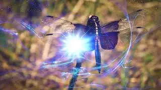 Rhythmic Entrainment for Past Life Regression, Energy Medicine Sessions & Sound Healing
