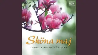 Uti vår hage