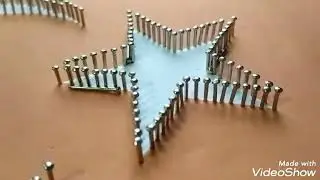 FİLOGRAFİ dersleri türk bayraği