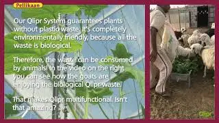 Qlipr biological waste