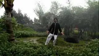 Tai Chi - Open and Close the Stance - II: Quality