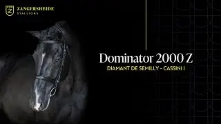 Dominator 2000 Z - Hengstenpresentatie 2025 NL