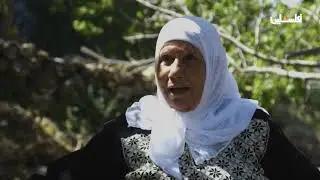 حكاية قرية - قرية بتير