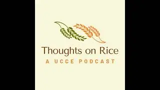 2024 Rice Disease Survey with Luis Espino