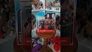 The Hardy Boyz FC Toys Wrestle-Something Wrestlers Series 4 unboxing! #subscribe #wwe #retro