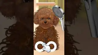 petclean#game #bestgames2024 #gaming #gameplay #bestgamesforiphone #shortsvideo #shorts