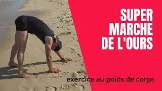 Marche de l'ours : gainage dynamique de la chaîne musculaire antérieure et mobilité sans matériel