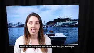 What are the main mobility regimes in the Caribbean?