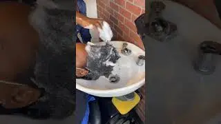 Hair wash asmr