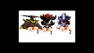 エビ揉め(シャドウ・ザ・ヘッジホッグ)
