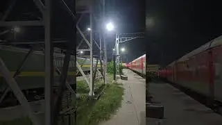 Night Vibes In Roza Junction.