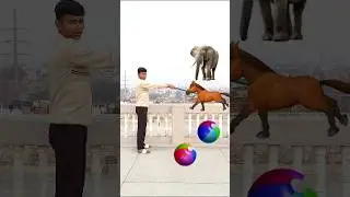 Ballon to wild Animals magic name Talking video #shorts #mmmrazz #funny #comedy