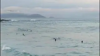SURF NO ARPOADOR