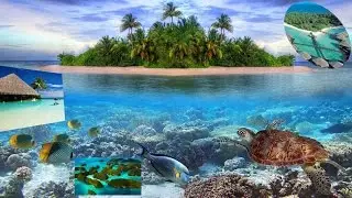 Maldives Islands One of The Best Island Destination for Holiday