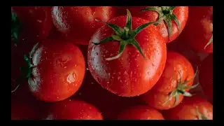 JERZY DYTKIEWICZ new demo showreel