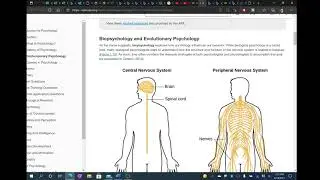 APA Citation Part 2: Parenthetical Citations MS Word Tutorial
