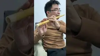 NCTR 00690 TEST S&Aacute;O TR&Uacute;C B&Ugrave;I GIA
