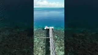 Why should you go to Solomon Islands?