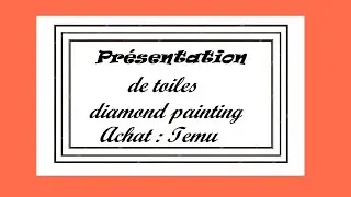 Présentation de toiles #diamondpainting achat TEMU