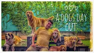 A Dogs Day Out| Special Pet Cafe In Mangalore| Kannada Vlogs