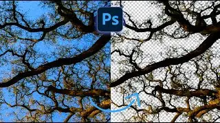 Remove Background - Easy Way - Short Photoshop Tutorial