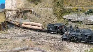 Coal Creek Lumber Co. Into Bunkers