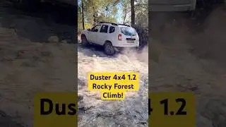 Dacia Duster 4x4 1.2 TCe Conquers Rocky Forest Climb! 🚗💥