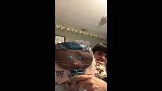 modcloth cat purse review