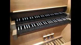 Test Organo meccanico a canne revisionato