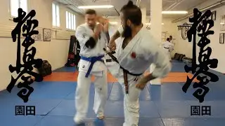 Henkō Kyokushin Karate (変更極真空手)