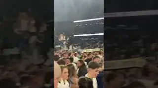 Spurs Europa league pitch invasion