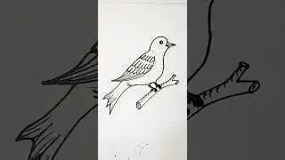 Cute Bird Drawing Techniq #drawing #birds #shorts (2)