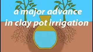 A major advance in clay pot irrigation (share this video)