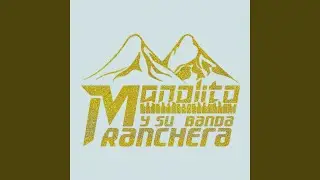 Amor y Odió