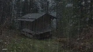 Heavy Rain & Thunder Sounds in Switzerland  Help Study, PTSD, Insomnia & Tinnitus