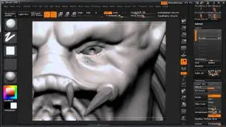 Predator time lapse
