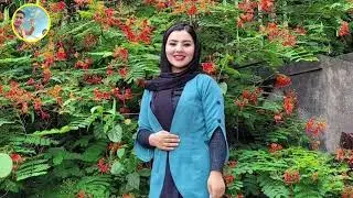 محیب الله دالی  00905441350565 ___ 0093727955033(5)