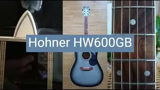 Mysterious Guitar - Hohner HW600GB, German, fishbone?